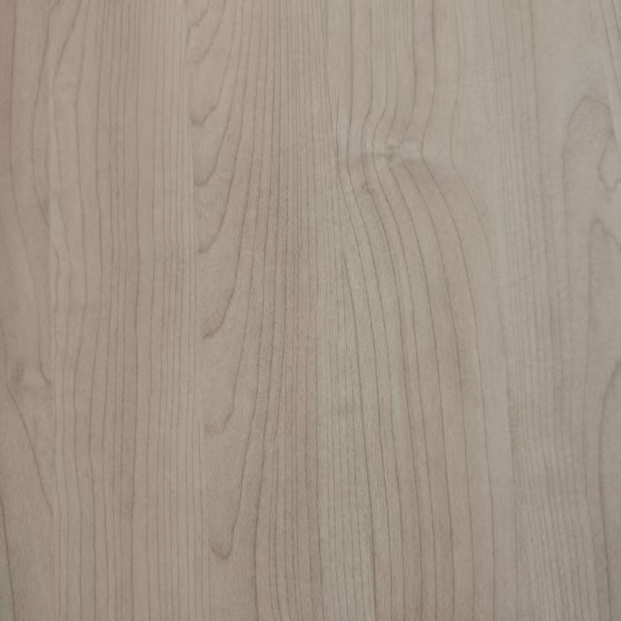 Meilimín Páipéar8031-10